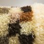 Vonios kilimėlis Sealskin Cubes, 60 x 100 cm, camee